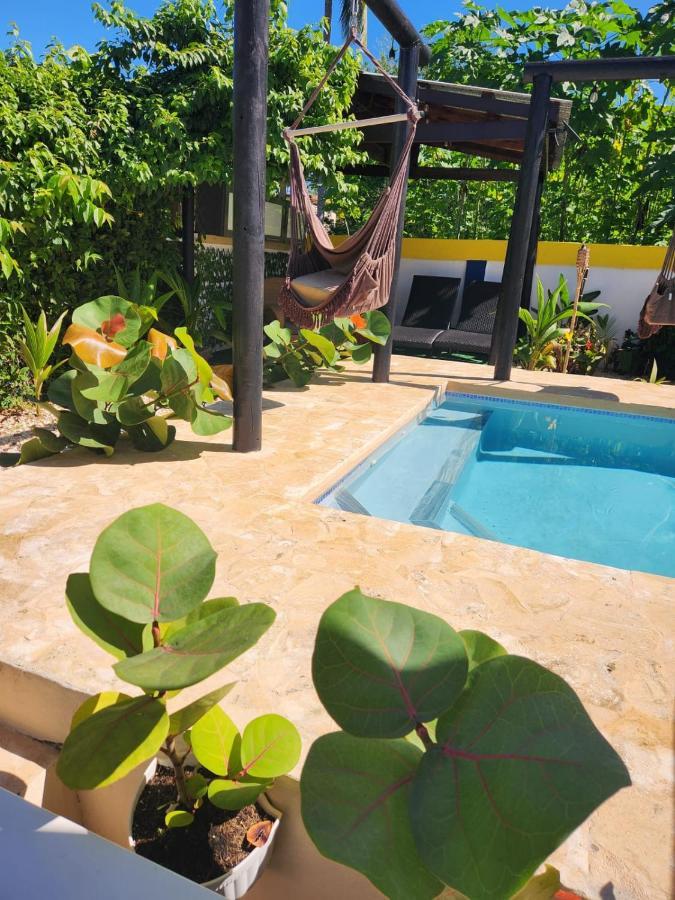 Willa Tropicoco Pool House Steps From The Beach Puerto Nuevo Zewnętrze zdjęcie